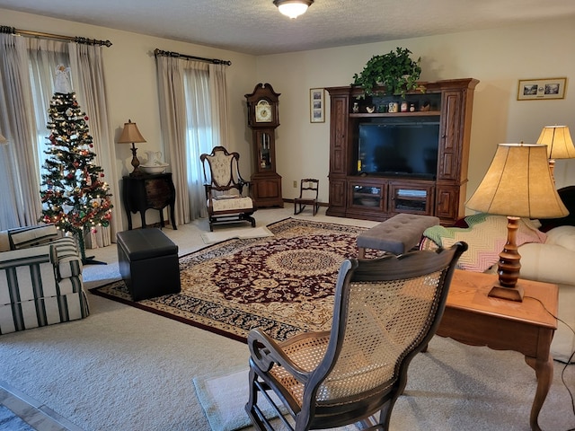 living room with carpet flooring and a textured ceiling
