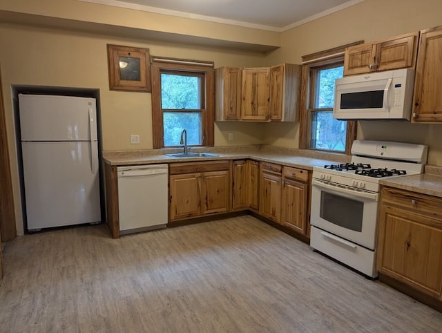 213 Highland Blvd, Ashland, OH 44805 - photo 4