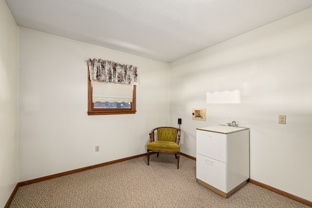 sitting room featuring carpet flooring