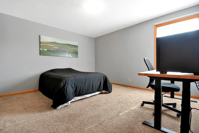 bedroom with carpet