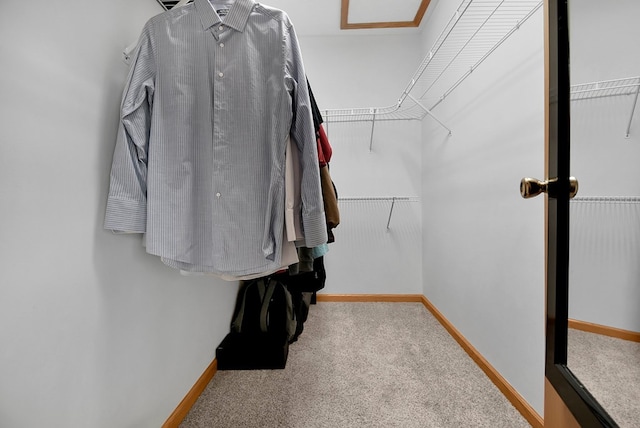 spacious closet with carpet floors