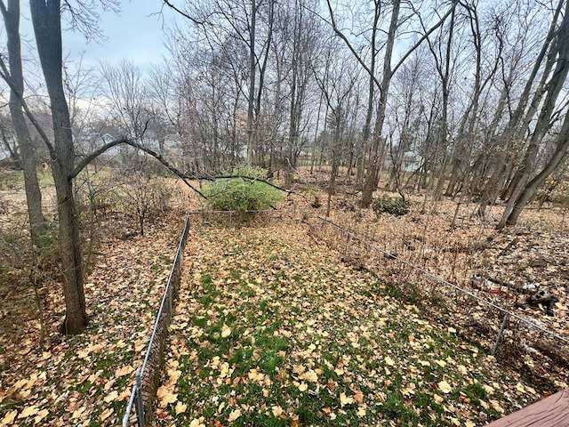 view of local wilderness