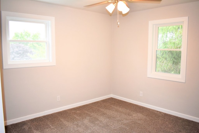 spare room featuring ceiling fan and carpet floors