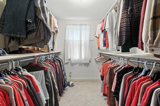 501 Overlook Rd, Mansfield, OH 44907 - spacious closet with carpet floors