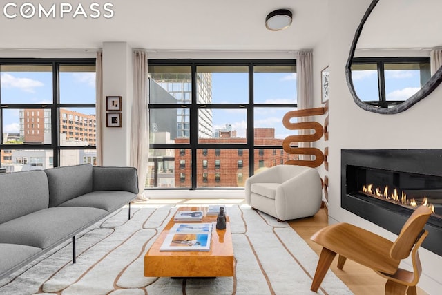 living room featuring hardwood / wood-style flooring and a wealth of natural light