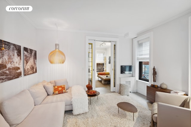 living area with ornamental molding and visible vents