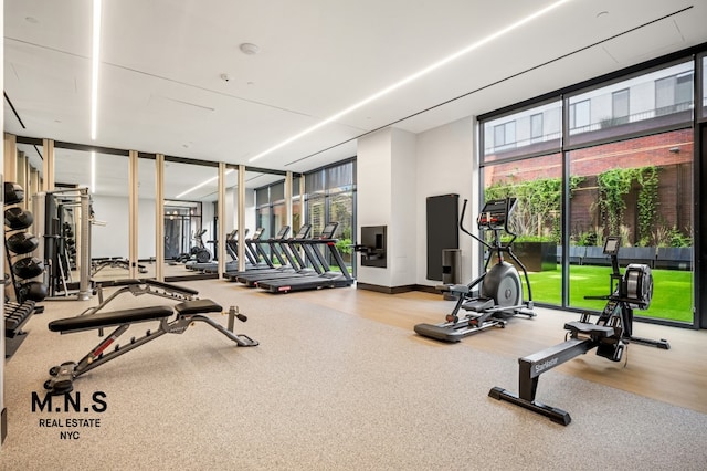 workout area featuring a wall of windows and a healthy amount of sunlight