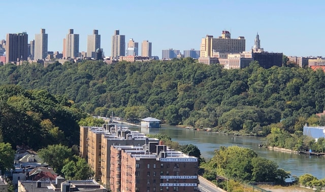 city view featuring a water view and a wooded view