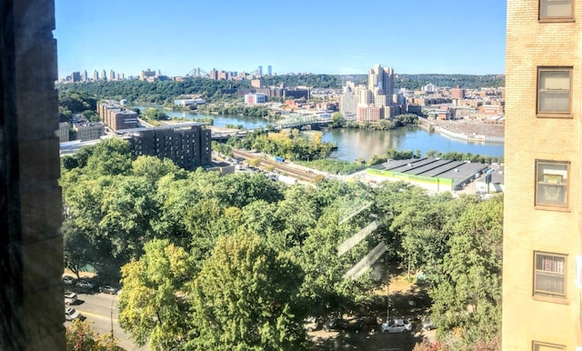 water view featuring a view of city
