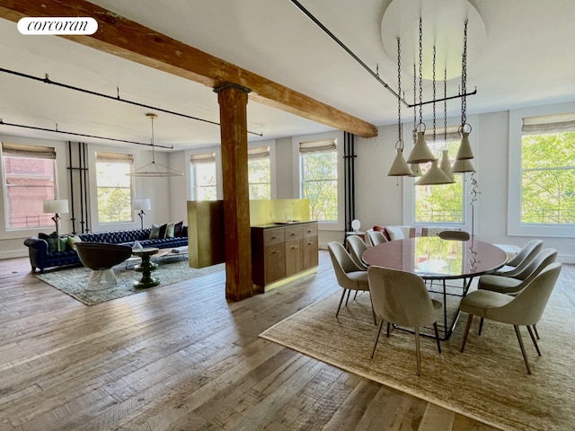 dining space with light hardwood / wood-style floors, plenty of natural light, and beamed ceiling