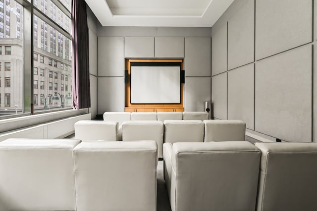 cinema room with a tray ceiling