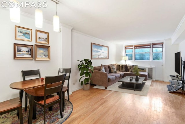 living room featuring light hardwood / wood-style floors and crown molding