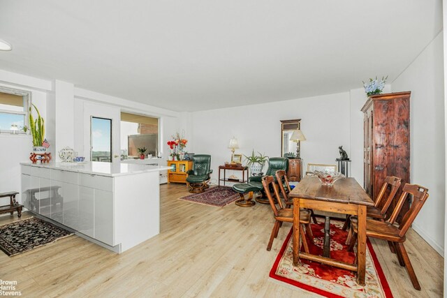 bedroom featuring radiator heating unit and light wood-type flooring