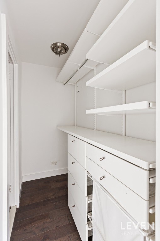 spacious closet with dark wood-style flooring