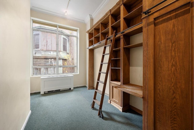 interior space featuring ornamental molding, a healthy amount of sunlight, and carpet