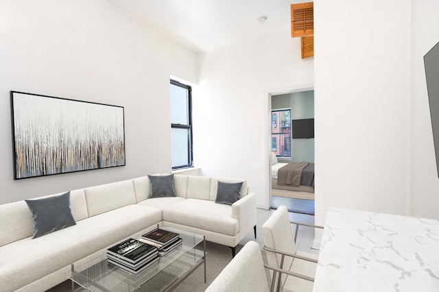 living room with carpet floors and a healthy amount of sunlight