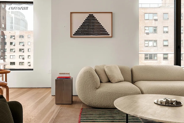9 Chapel St Phb, Phb, New York City, NY 11201 - living room featuring light wood-style flooring