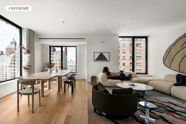9 Chapel St Phb, Phb, New York City, NY 11201 - living room with light wood finished floors and floor to ceiling windows