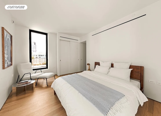 9 Chapel St Phb, Phb, New York City, NY 11201 - bedroom with light wood finished floors and a closet