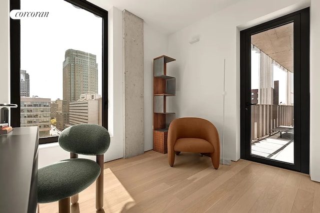9 Chapel St Phb, Phb, New York City, NY 11201 - office featuring light wood finished floors and a city view