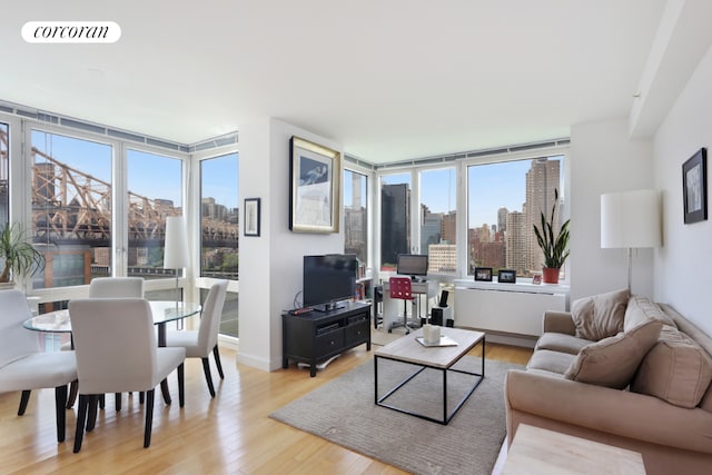 living room featuring light hardwood / wood-style floors and a healthy amount of sunlight