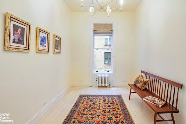 interior space with radiator, an inviting chandelier, light wood-type flooring, and baseboards