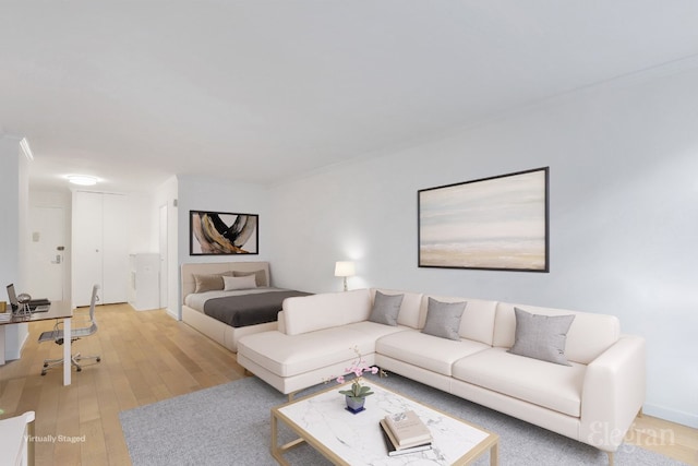 living room with hardwood / wood-style floors