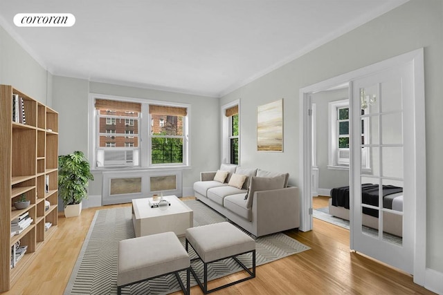 living room featuring plenty of natural light and light hardwood / wood-style floors