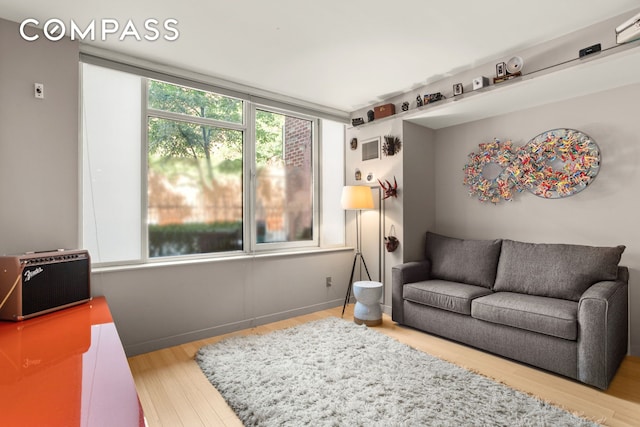 living room featuring baseboards and wood finished floors