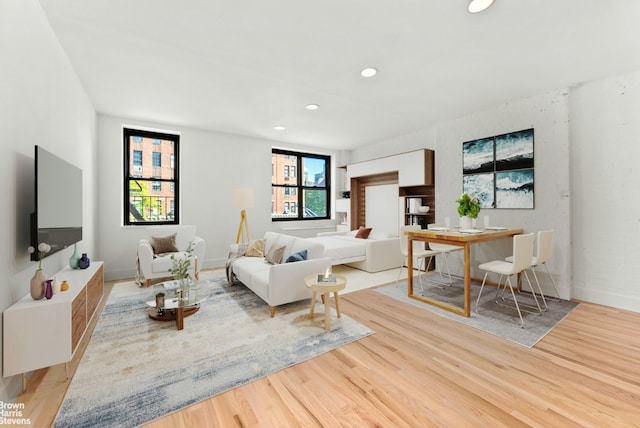 living room featuring light hardwood / wood-style flooring