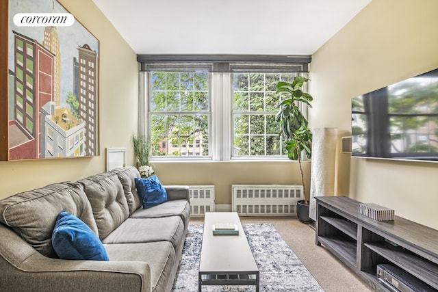 carpeted living room with radiator heating unit