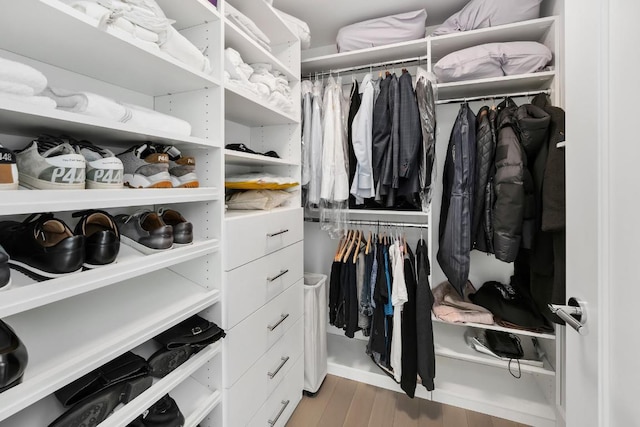 spacious closet with light hardwood / wood-style flooring