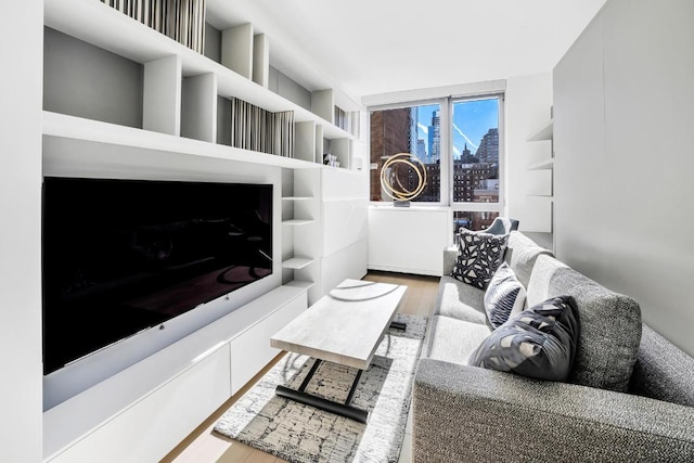 living room featuring light hardwood / wood-style floors