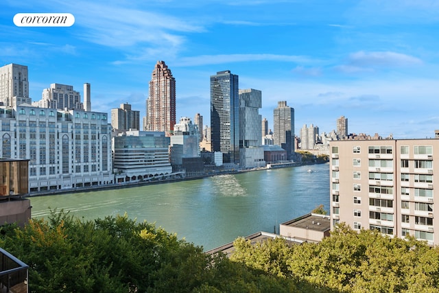 property view of water featuring a view of city