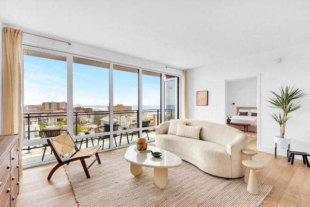 living room with light hardwood / wood-style floors