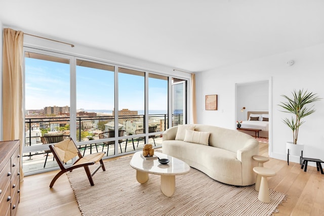 living area with baseboards, light wood-style floors, a healthy amount of sunlight, and floor to ceiling windows