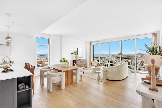 living room with a wall of windows, sink, and light hardwood / wood-style flooring