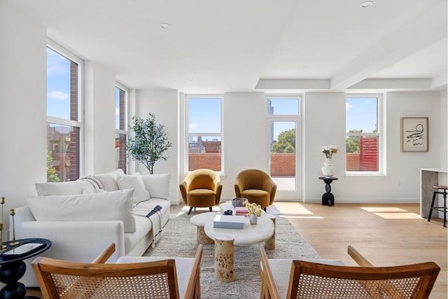 sitting room featuring a healthy amount of sunlight and light wood-type flooring