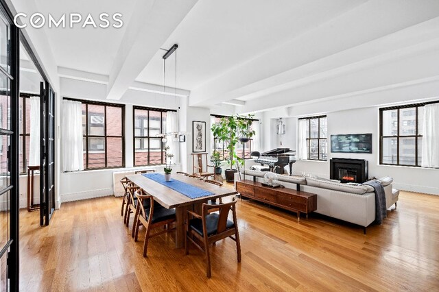 dining room featuring plenty of natural light and light hardwood / wood-style flooring