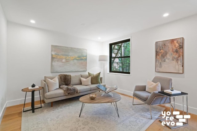 living room with hardwood / wood-style floors