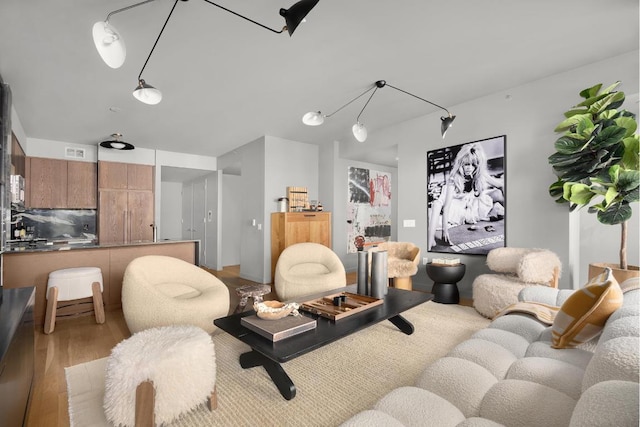 living room with light hardwood / wood-style flooring