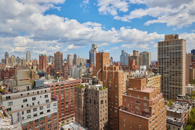 110 E 71st St Unit 19, New York City, NY 10021 - view of city skyline