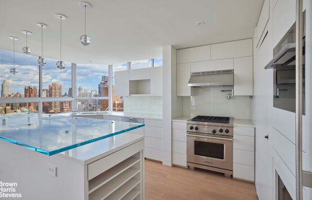 kitchen with ventilation hood, a sink, stainless steel range, a city view, and modern cabinets