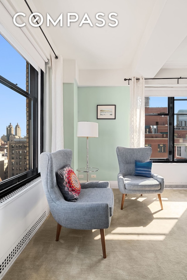 sitting room with a view of city, carpet flooring, and visible vents