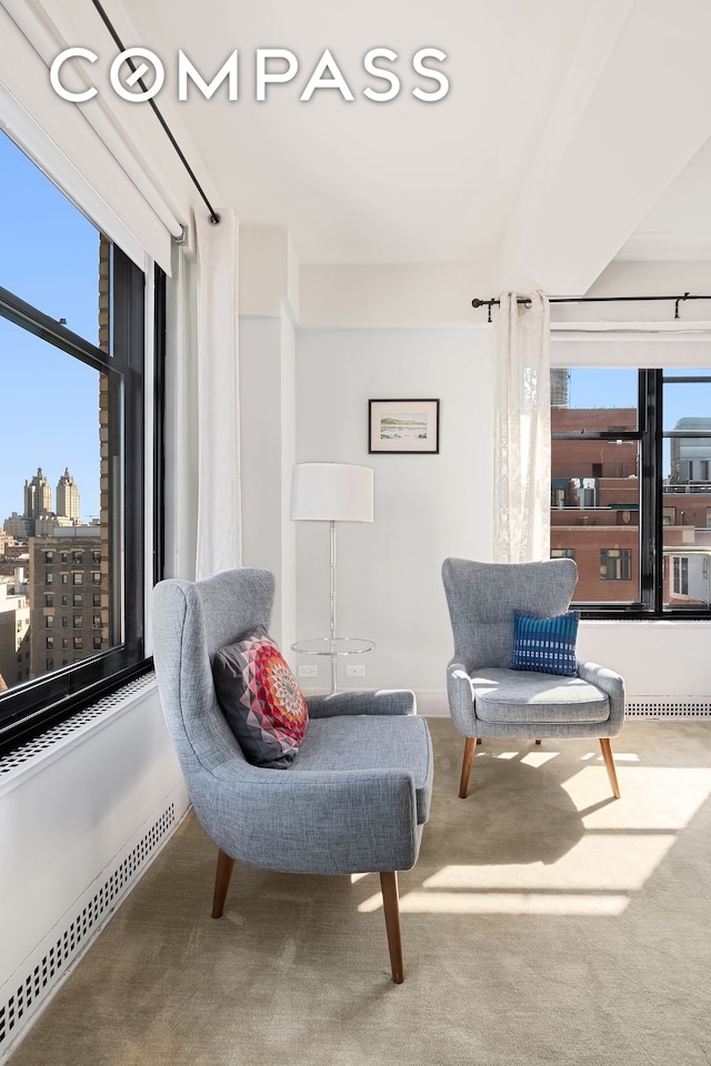 200 W 86th St Unit 17C, New York City, NY 10024 - sitting room featuring carpet