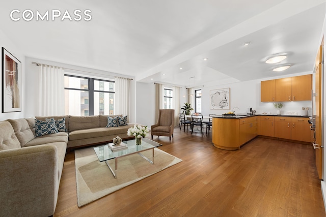 living room with wood finished floors