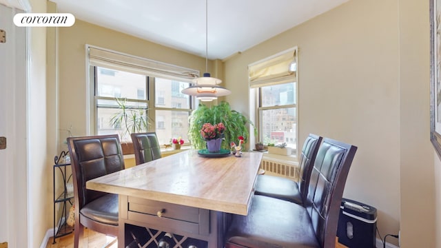 dining space featuring hardwood / wood-style floors and a healthy amount of sunlight