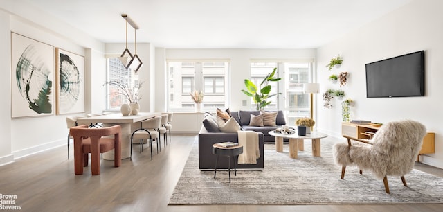 living room with hardwood / wood-style floors