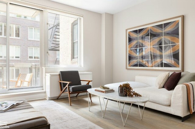 living area featuring light hardwood / wood-style floors