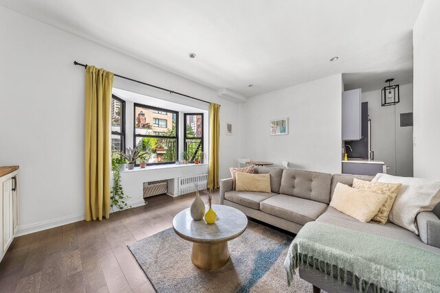 living room featuring radiator and hardwood / wood-style flooring